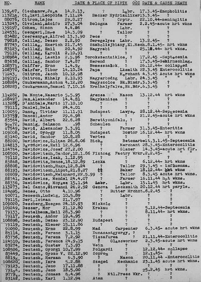 02a.jpg (117086 Byte)