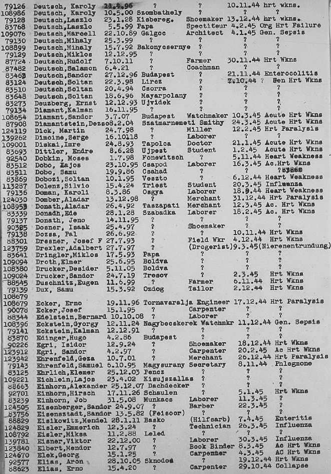 02a.jpg (117086 Byte)