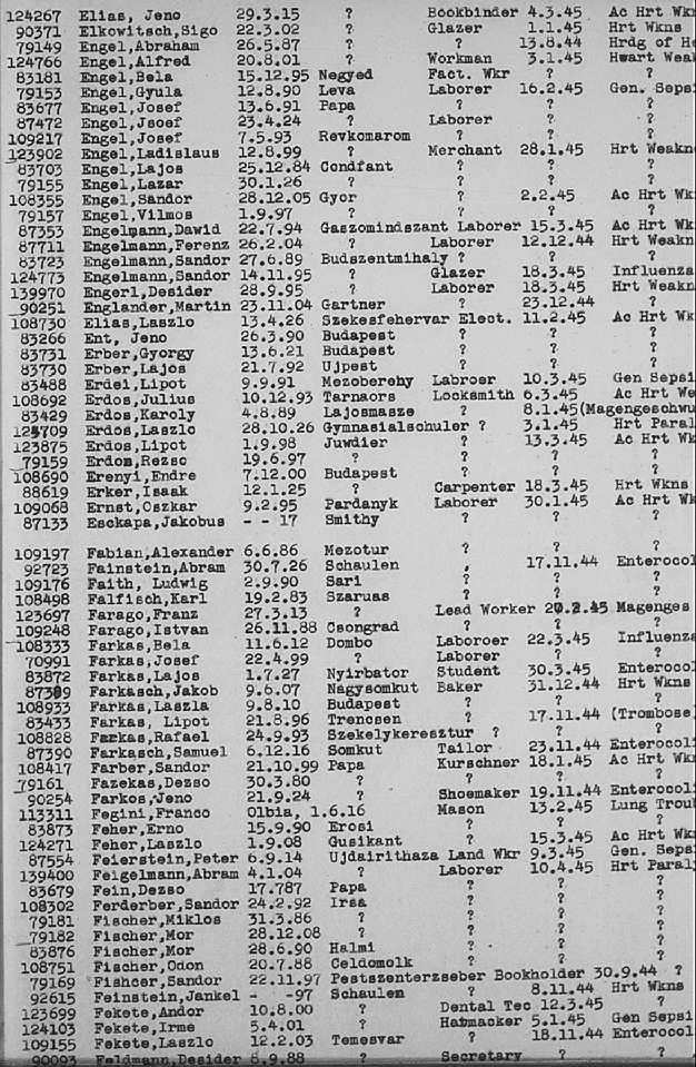 02a.jpg (117086 Byte)