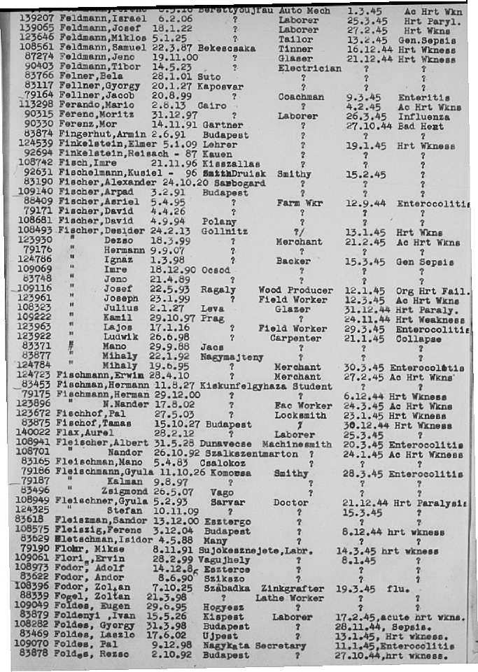 02a.jpg (117086 Byte)