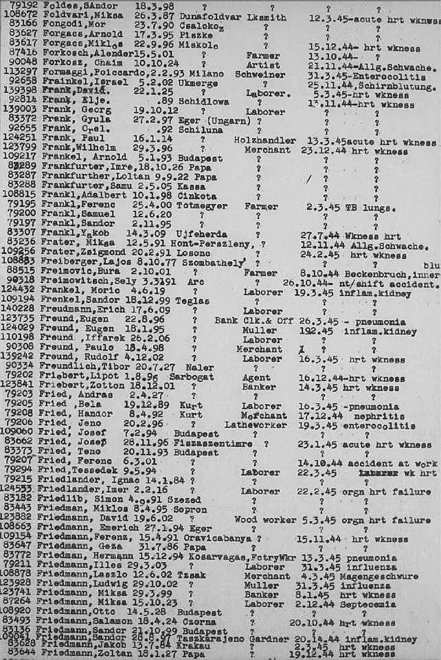 02a.jpg (117086 Byte)