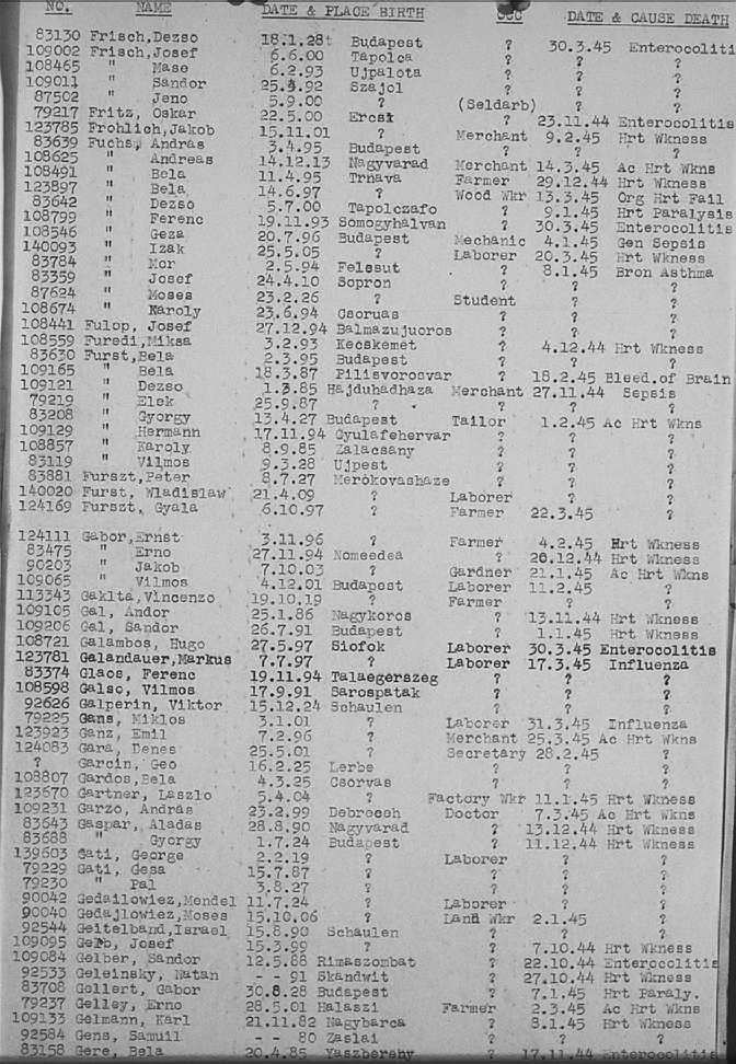 02a.jpg (117086 Byte)