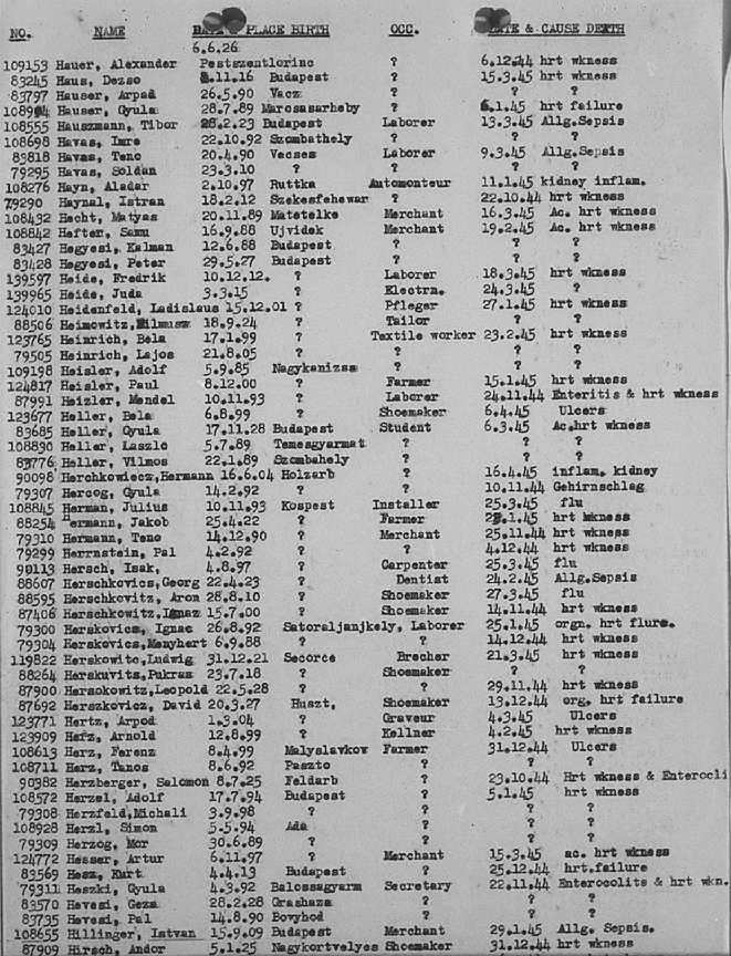 02a.jpg (117086 Byte)