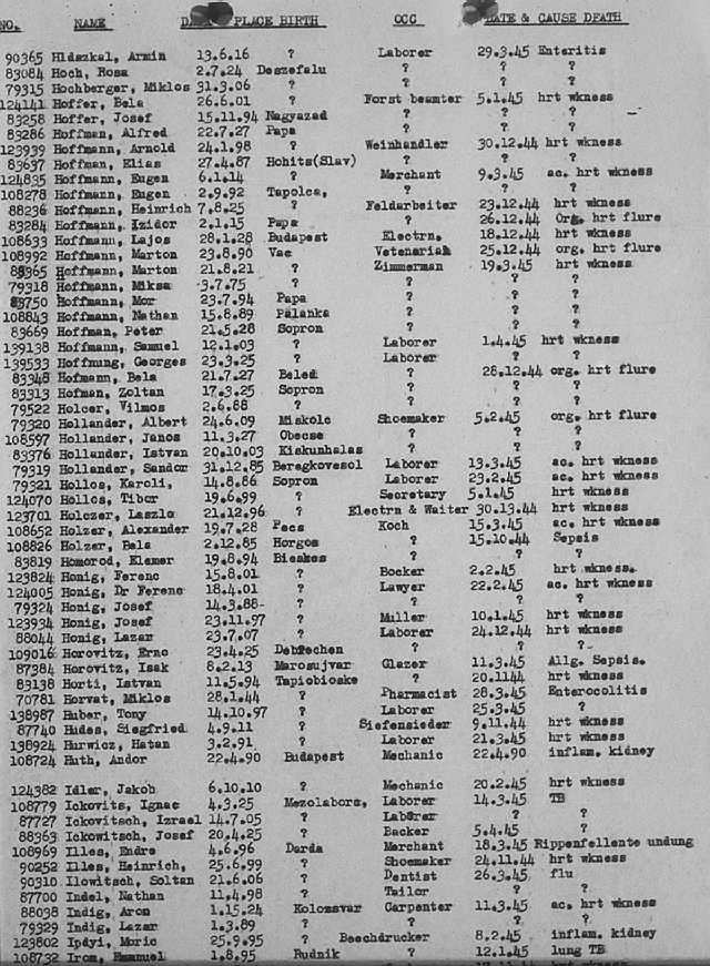 02a.jpg (117086 Byte)