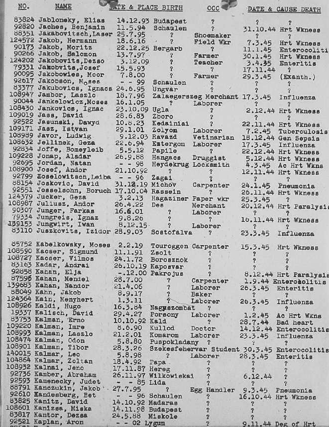 02a.jpg (117086 Byte)