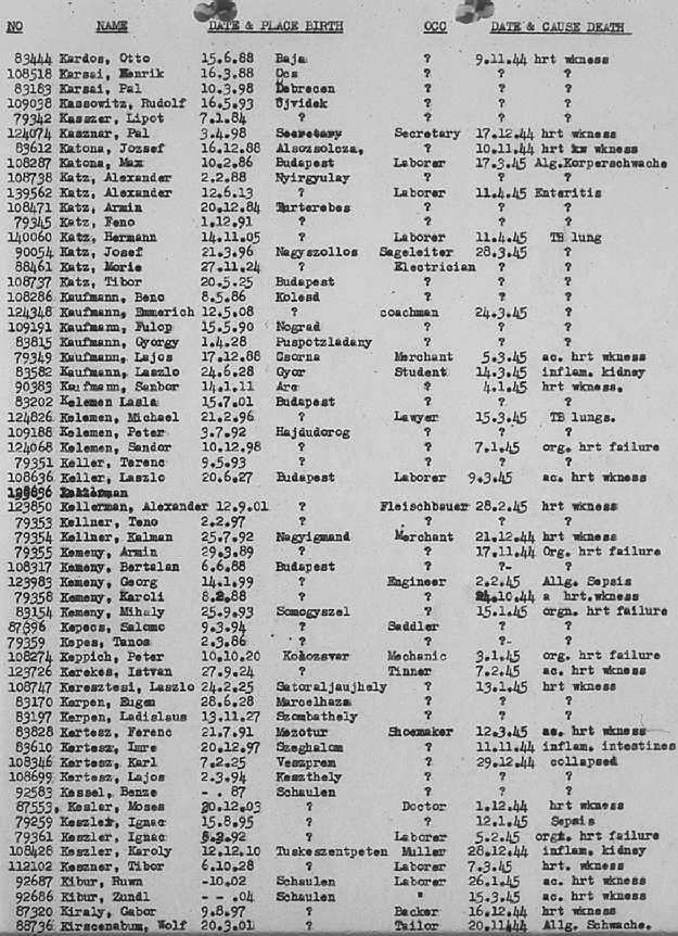 02a.jpg (117086 Byte)