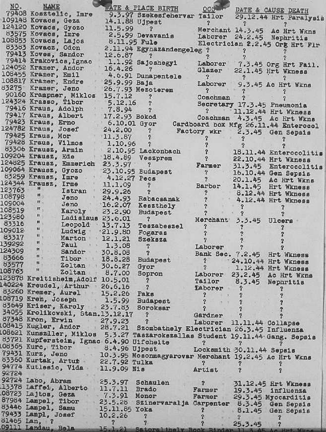 02a.jpg (117086 Byte)