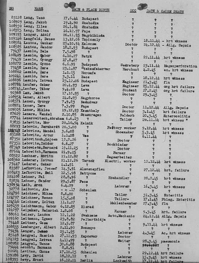 02a.jpg (117086 Byte)