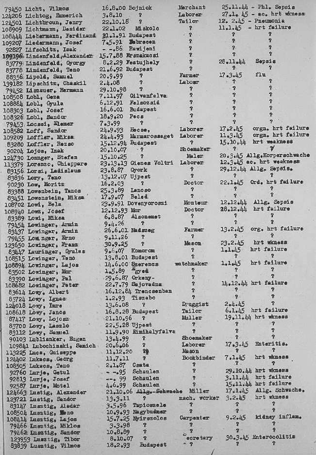 02a.jpg (117086 Byte)