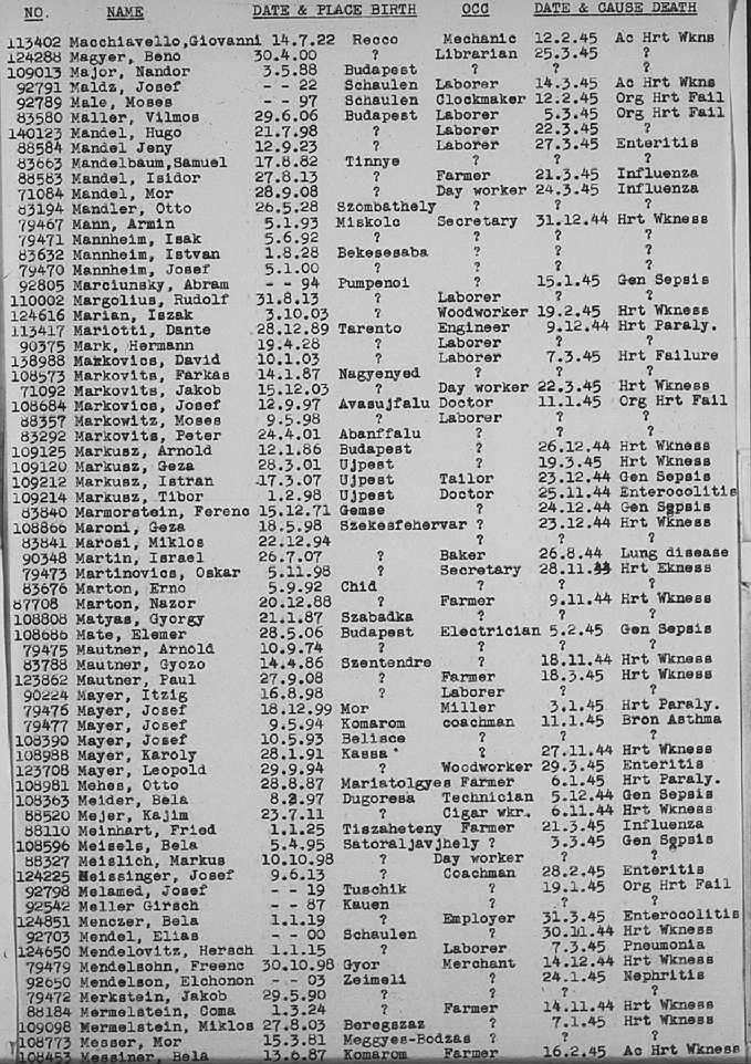 02a.jpg (117086 Byte)