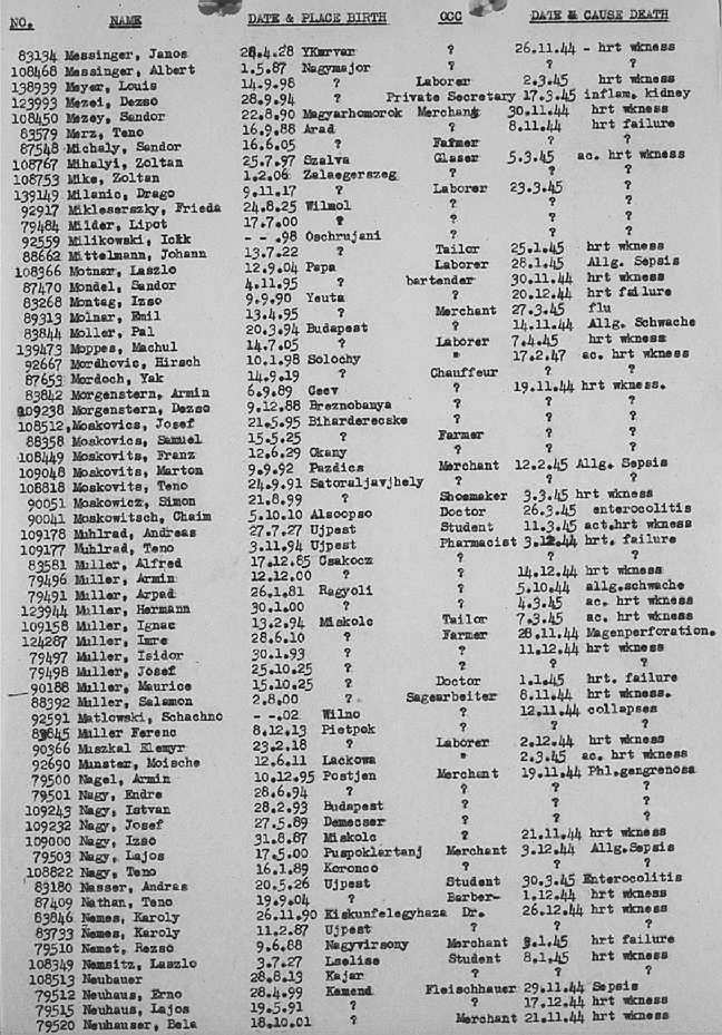 02a.jpg (117086 Byte)