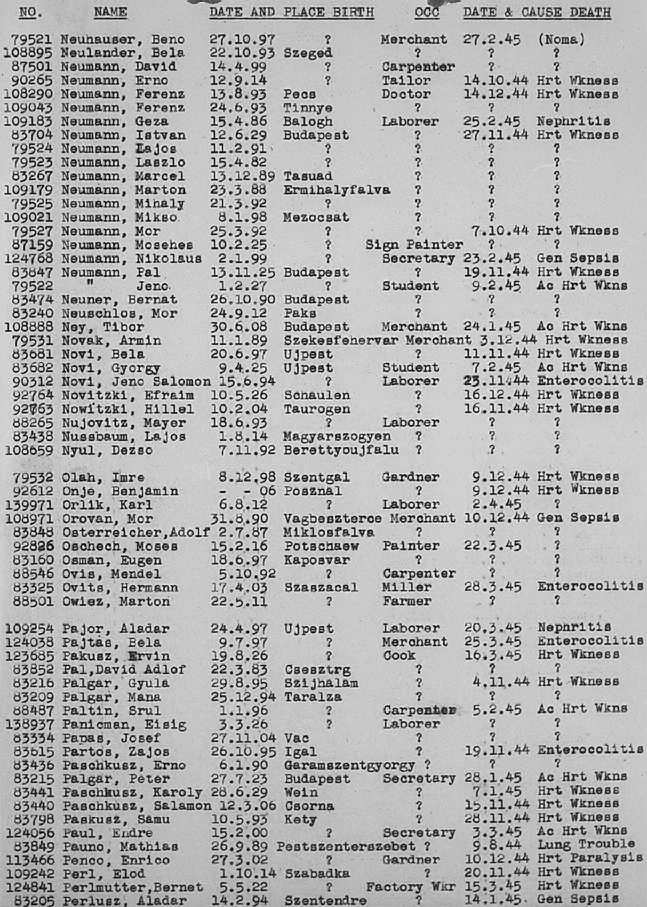 02a.jpg (117086 Byte)