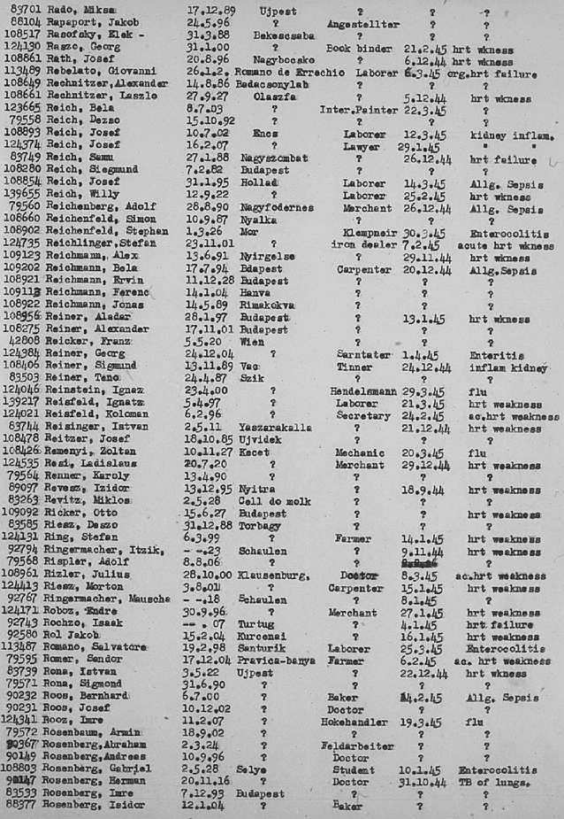 02a.jpg (117086 Byte)